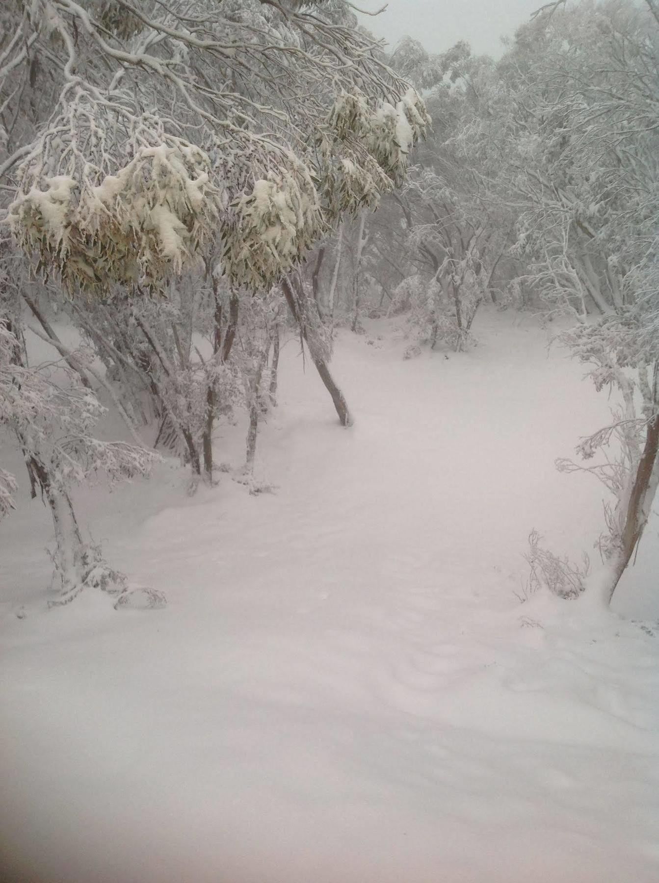 Terama Ski Lodge Mount Buller Εξωτερικό φωτογραφία
